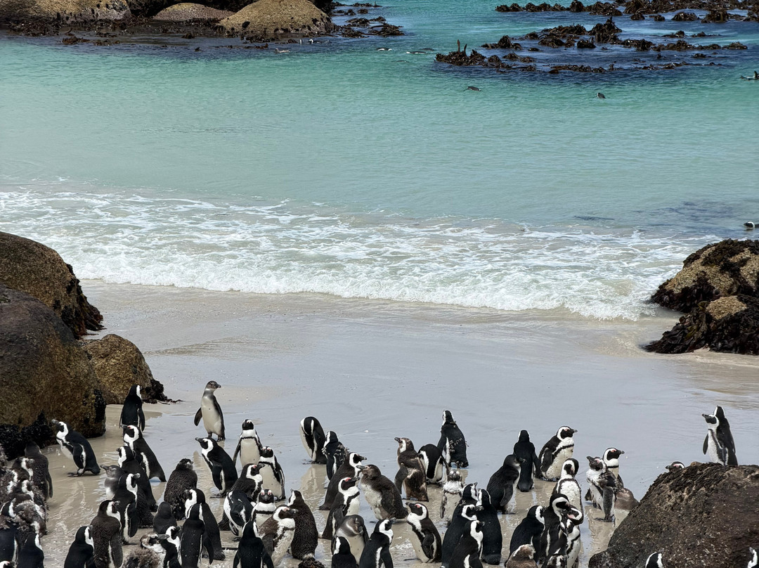 Namibia Tours & Safaris-斯瓦科普蒙德必去景点