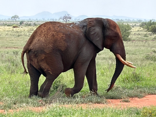 Viaggi in Kenya con Silvio - Safari e Tour Personalizzati-瓦塔木必去景点