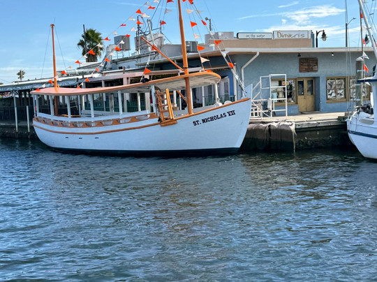 Spongorama's Cruise Lines-塔彭斯普林斯必去景点