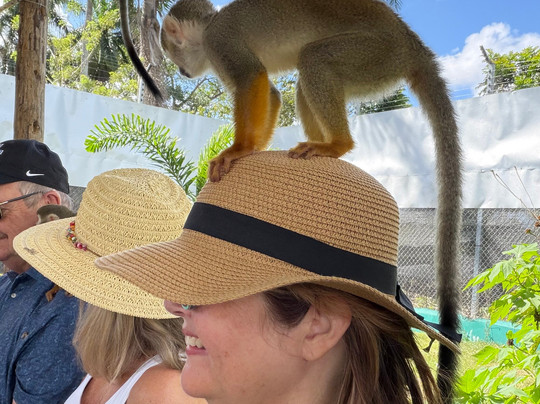 Monkey Home Puerto Plata-普拉塔港必去景点