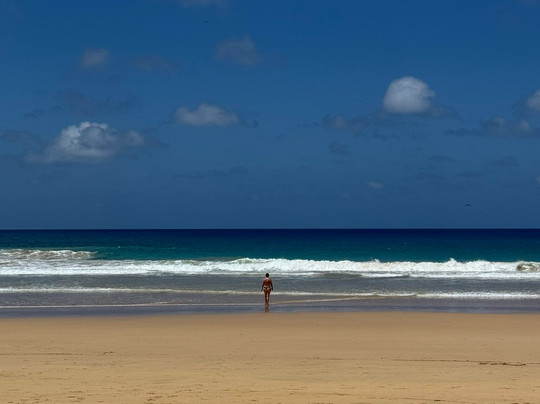 Boldro Beacch-费尔南多-迪诺罗尼亚群岛必去景点