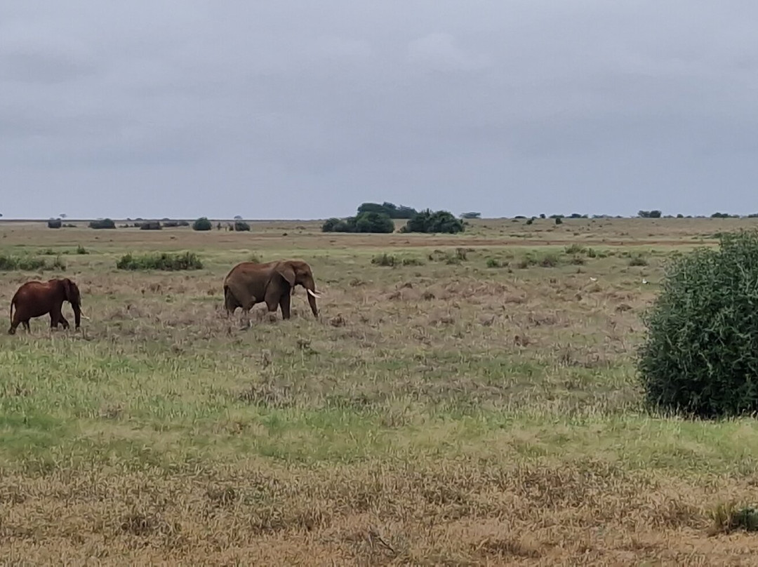 Scopriamo il Kenya con Nelson-瓦塔木必去景点