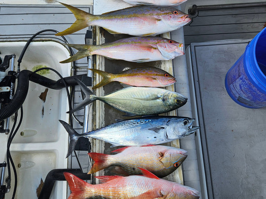 Local Flavor Charters-克鲁兹湾必去景点