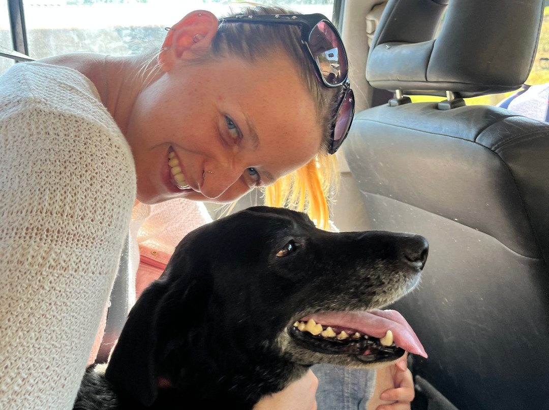 Centre Equestre Du Passe-Temps主图