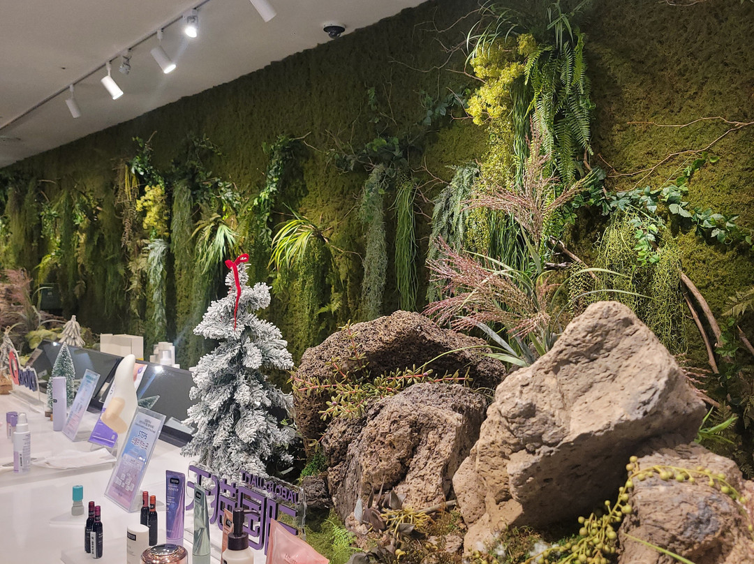 B The B-首尔必去景点