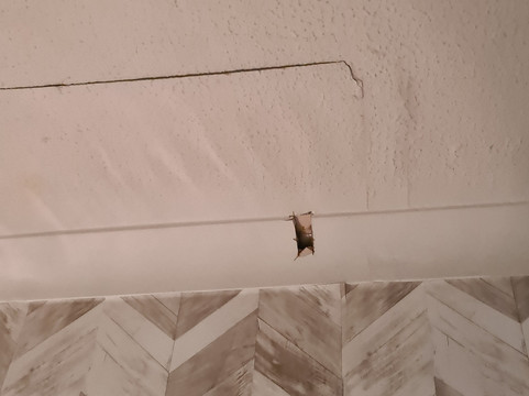 晚安皇家酒店主图