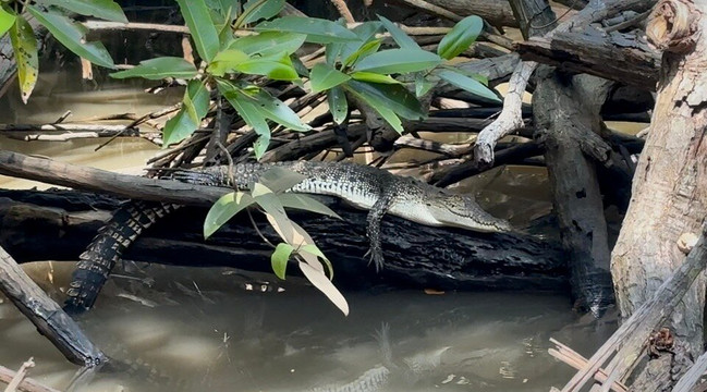 Lucky Boat Safari-班托塔必去景点
