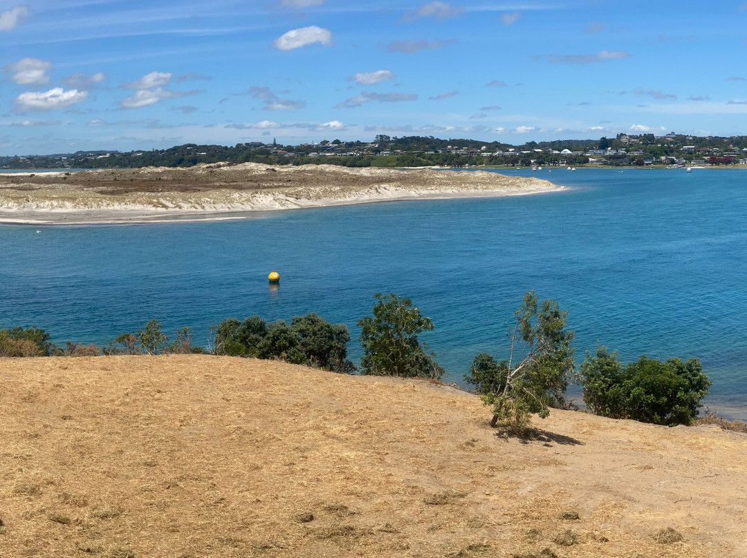 Mangawhai Beach-Mangawhai必去景点