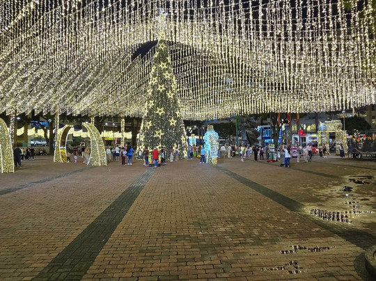 Plaza de Bolivar-佩雷拉必去景点