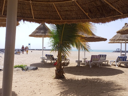 Restaurant Jomo Beach by L'endroit