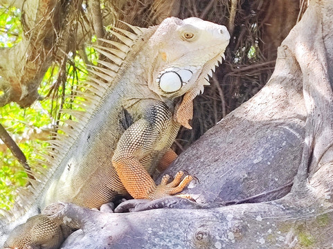 YourColombia-波哥大必去景点