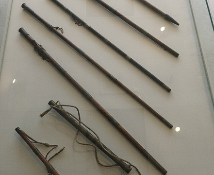 Museo Pumapungo-昆卡必去景点