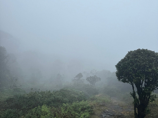 Nipuna Knuckles Trekking-康提必去景点