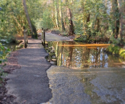 Frensham Little Pond-Frensham必去景点
