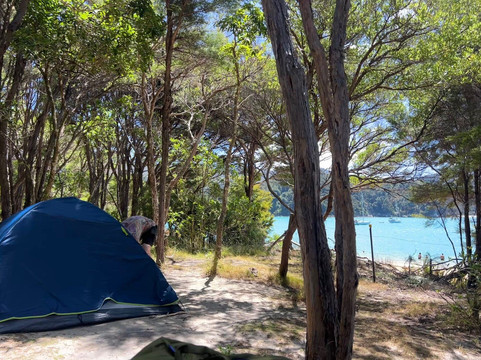 Abel Tasman Hire Company-凯特里特里必去景点