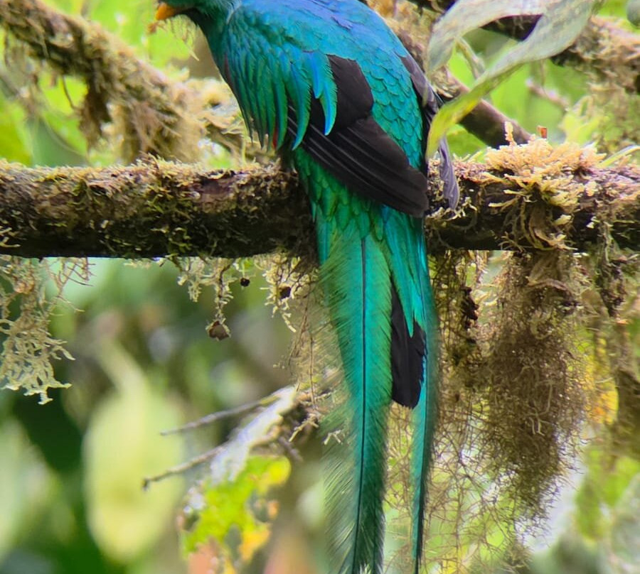 Eberth Villegas Villegas-圣埃伦娜必去景点