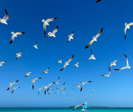 Playa Paraiso-图伦必去景点