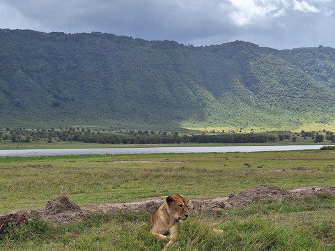 Savannah Explorers Limited-阿鲁沙必去景点