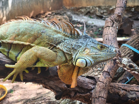 Toolok kaa'n-从莫雷洛斯港必去景点