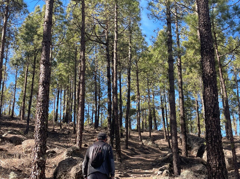 Pico De Las Nieves-大加那利岛拉斯帕尔马斯必去景点