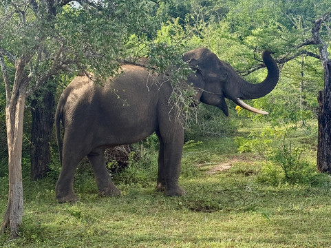 The Boundary Yala主图