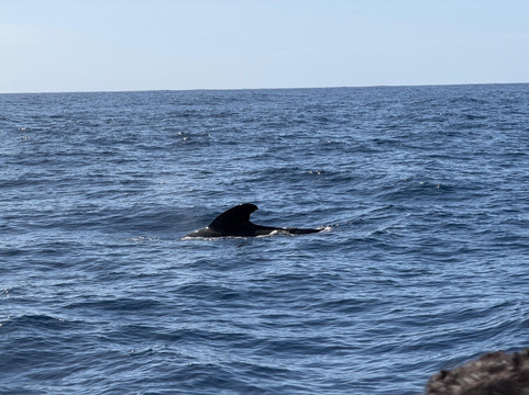 Maritima Acantilados-洛斯·吉甘特斯必去景点