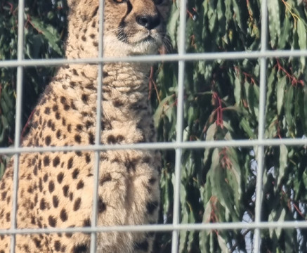 Wingham Wildlife Park-Wingham必去景点