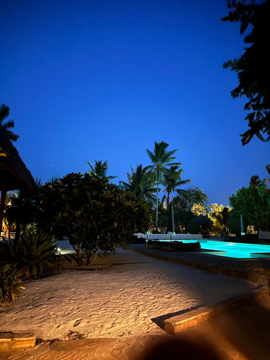 桑给巴尔蒂基坦棕榈精品酒店-泳池