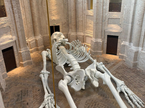 Calamita Cosmica - Centro Italiano Arte Contemporanea-福利尼奥必去景点