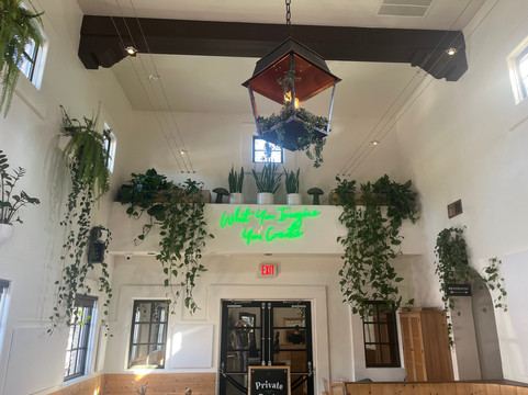 The Alchemists' Garden