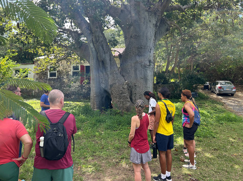 Island Life Adventures-Frederiksted必去景点