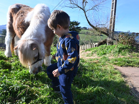 Los Caserinos-比拉维西奥萨必去景点