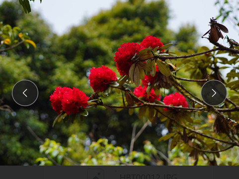 Happybirdtour-清迈必去景点