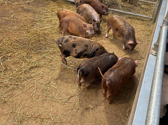 Monk Park Farm-Bagby必去景点