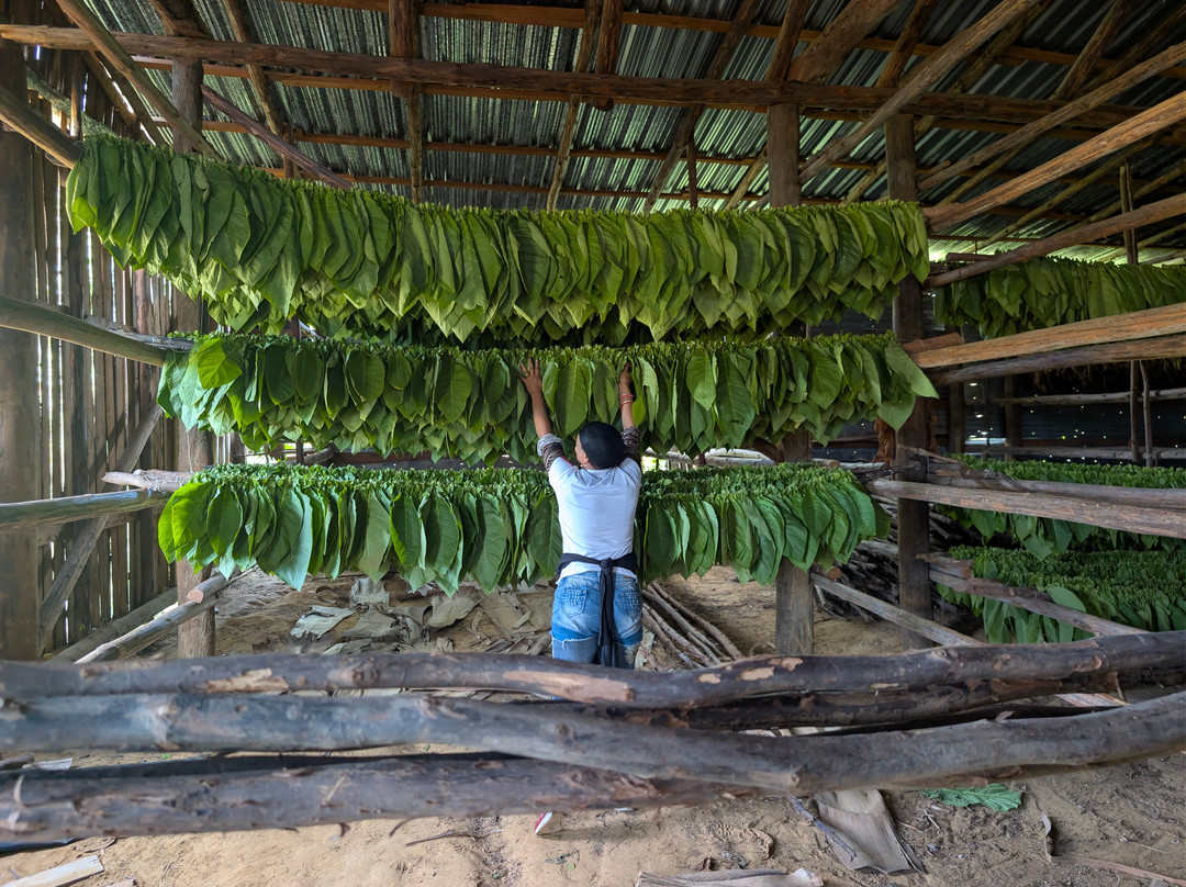 Gardner Tours-哈瓦那必去景点