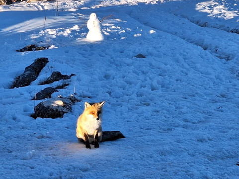 Terminillo Trekking 360-Monte Terminillo必去景点