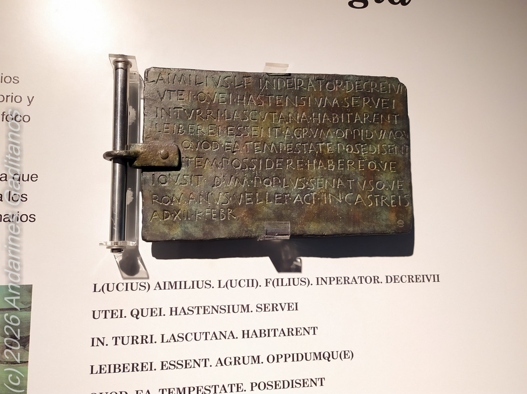 Museo Arqueologico  de Jerez-赫雷斯德拉弗隆特拉必去景点