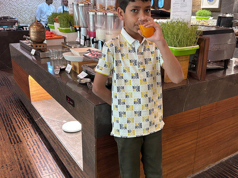 西里古里柠檬树酒店主图