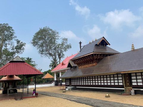 Paradise Holidays-柯钦必去景点