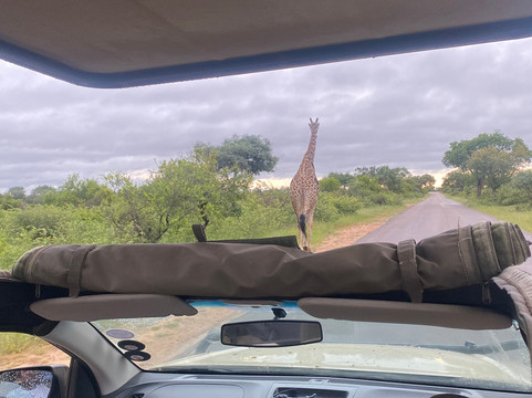 Wild Planet Safari-霍德斯普鲁特必去景点