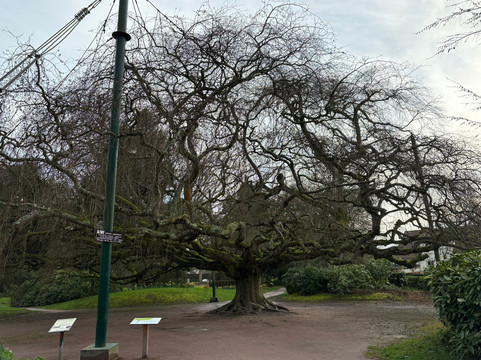 Jardin Public de Bayeux-巴约必去景点