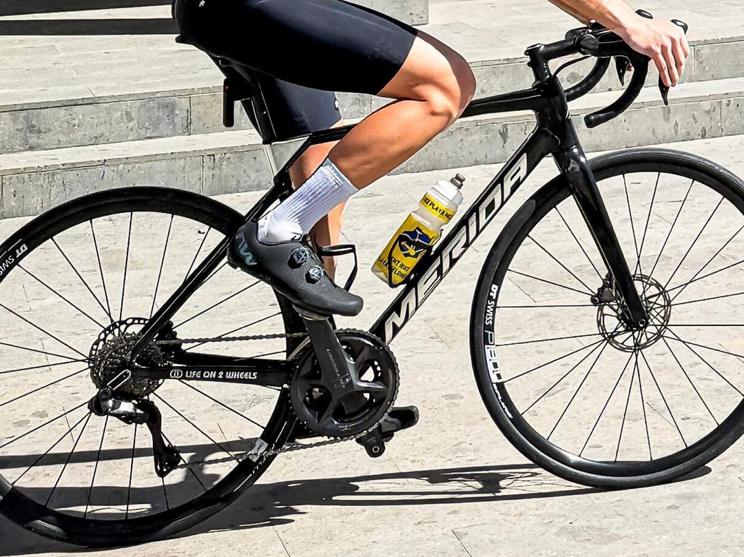 Life On 2 Wheels Bike Center-马斯帕洛马斯必去景点