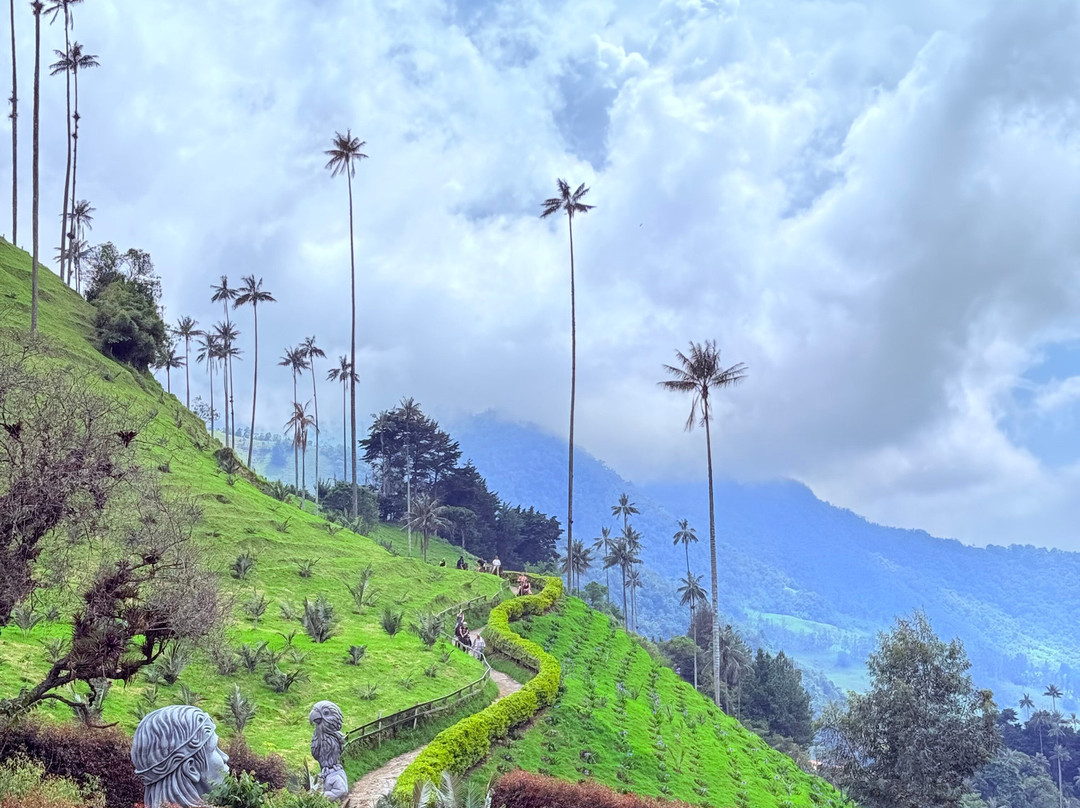 Magic Tours del Café-亚美尼亚必去景点