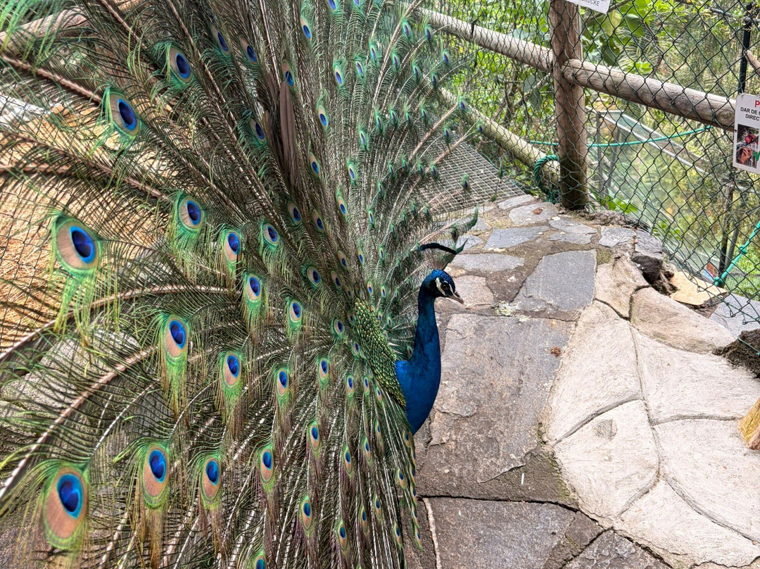 Maroparque Isla de La Palma-Brena Alta必去景点