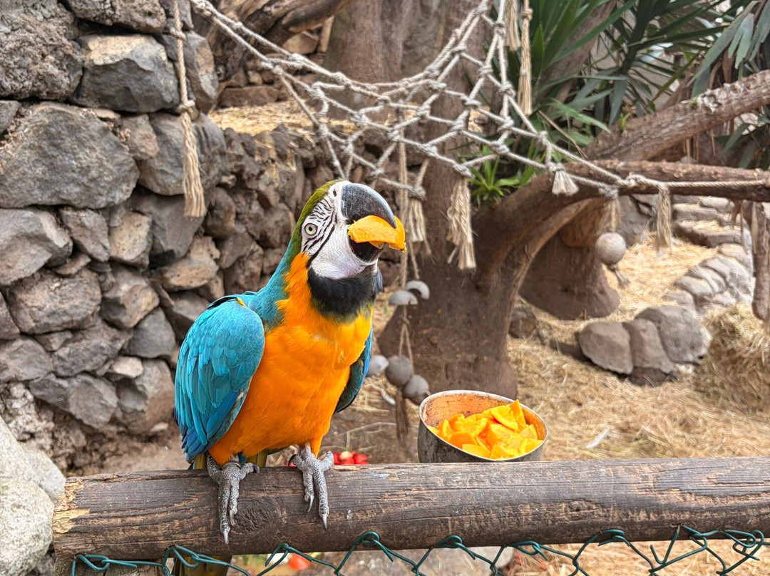 Maroparque Isla de La Palma-Brena Alta必去景点