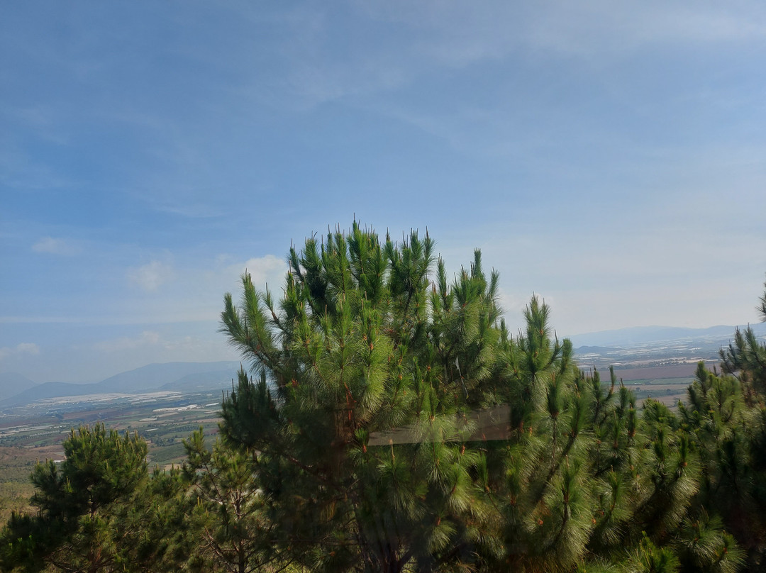 Samten Hills Dalat-Tu Tra必去景点