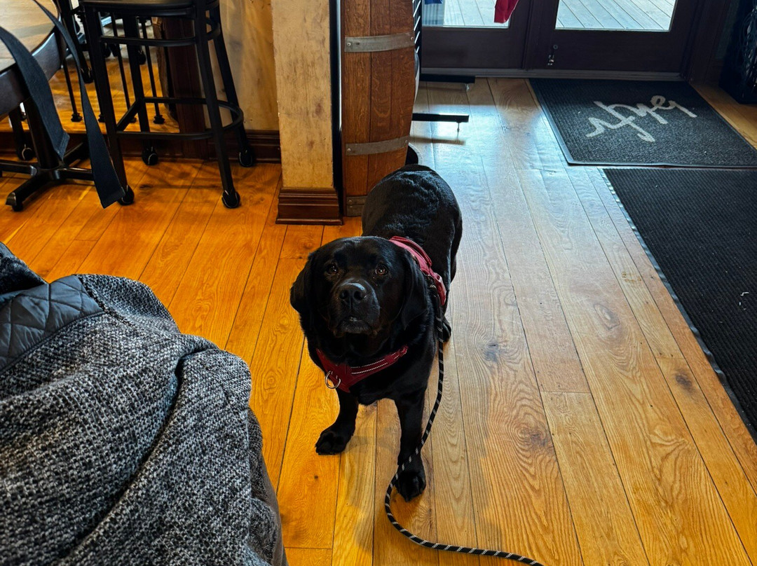 Baiting Hollow Farm Vineyard-Baiting Hollow必去景点