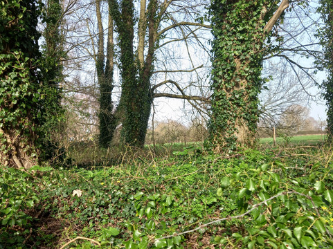 Frampton Court Estate-Frampton on Severn必去景点