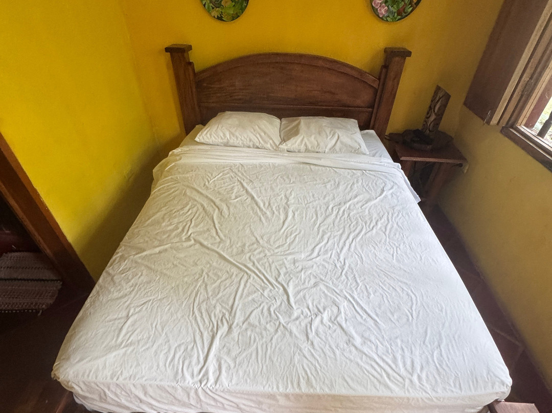 La Palapa Eco Lodge Resort主图