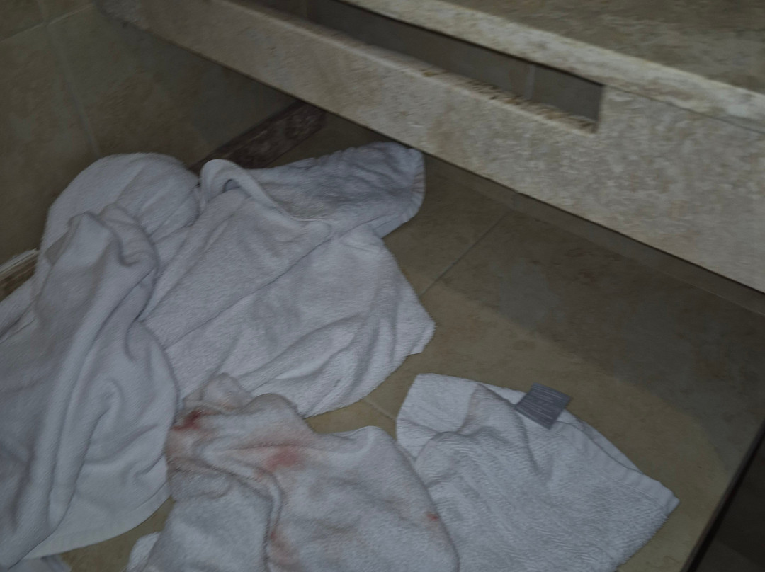 燕子酒店 - 限成人主图